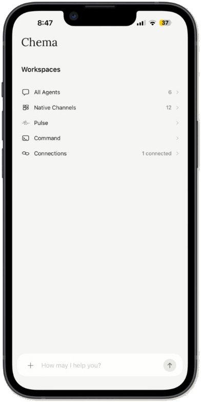 Chema iOS workspaces home screen